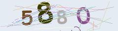 CAPTCHA validation image