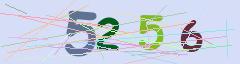 CAPTCHA validation image