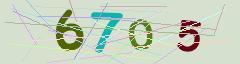 CAPTCHA validation image