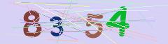 CAPTCHA validation image
