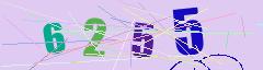 CAPTCHA validation image