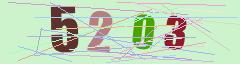 CAPTCHA validation image