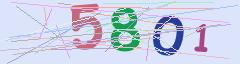 CAPTCHA validation image