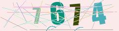 CAPTCHA validation image