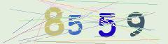 CAPTCHA validation image