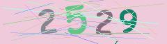 CAPTCHA validation image