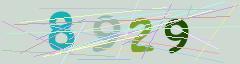 CAPTCHA validation image