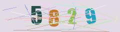 CAPTCHA validation image