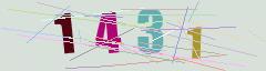 CAPTCHA validation image
