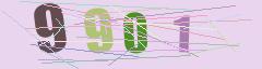 CAPTCHA validation image