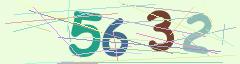 CAPTCHA validation image