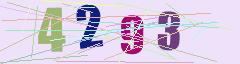 CAPTCHA validation image