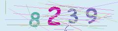 CAPTCHA validation image