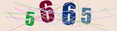 CAPTCHA validation image