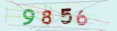 CAPTCHA validation image