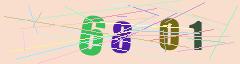 CAPTCHA validation image