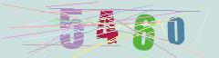 CAPTCHA validation image
