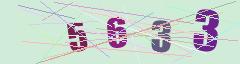CAPTCHA validation image