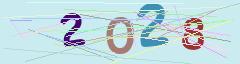 CAPTCHA validation image