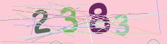 CAPTCHA validation image