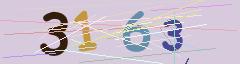 CAPTCHA validation image