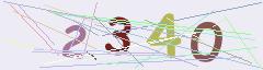 CAPTCHA validation image