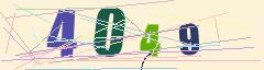 CAPTCHA validation image
