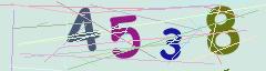 CAPTCHA validation image