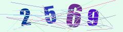 CAPTCHA validation image