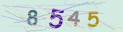 CAPTCHA validation image