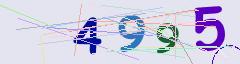 CAPTCHA validation image