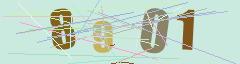CAPTCHA validation image