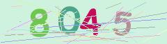 CAPTCHA validation image