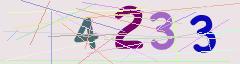 CAPTCHA validation image