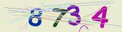 CAPTCHA validation image