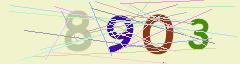 CAPTCHA validation image