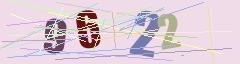 CAPTCHA validation image