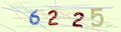 CAPTCHA validation image