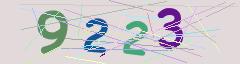 CAPTCHA validation image