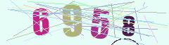 CAPTCHA validation image