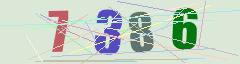 CAPTCHA validation image