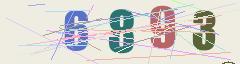 CAPTCHA validation image
