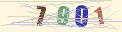 CAPTCHA validation image