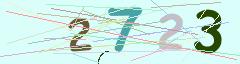 CAPTCHA validation image