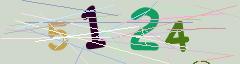 CAPTCHA validation image