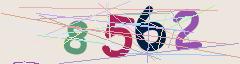 CAPTCHA validation image