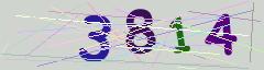 CAPTCHA validation image