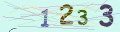 CAPTCHA validation image