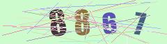 CAPTCHA validation image