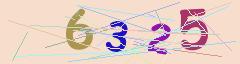 CAPTCHA validation image
